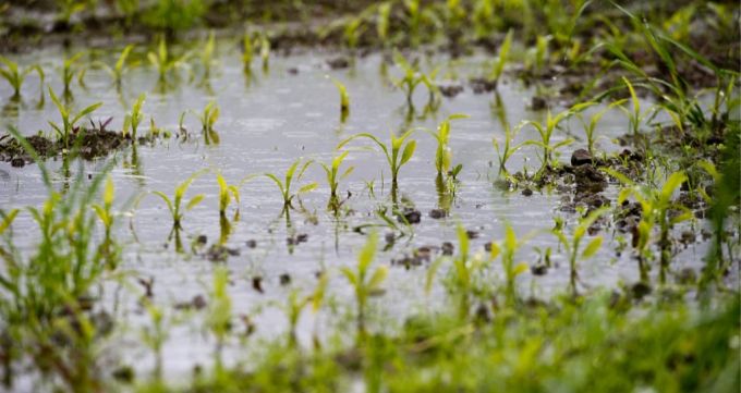 Wetter Landwirtschaft