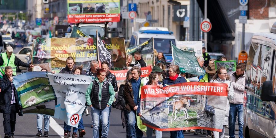 Deutsche Weidetierhalter protestieren gegen den Umgang mit Wölfen in der Viehwirtschaft in Deutschland.