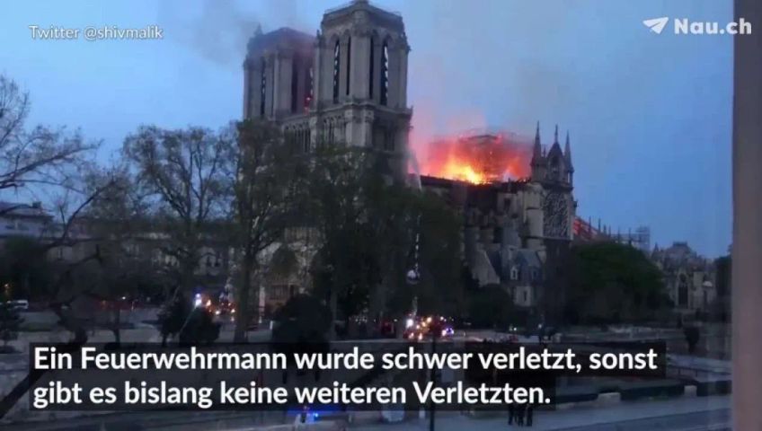 collage-notredame