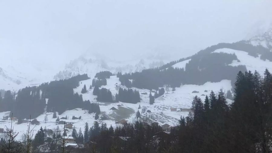 In Adelboden BE werden wegen den Regenschauern immer mehr Flächen grün.