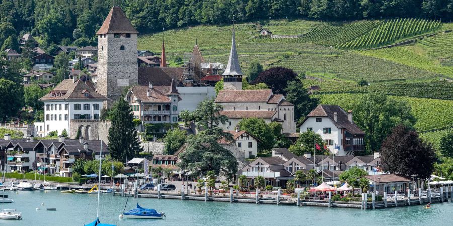 Die Spiezer Bucht mit Segelbooten und im Hintergrund das Schloss Spiez und der Spiezberg.