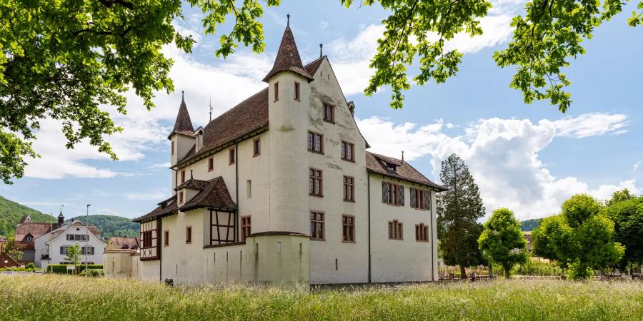 Das Weiherschloss Pratteln.