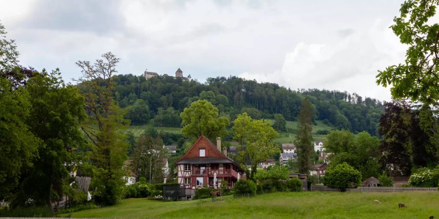 Aussicht auf die Hohenburg in Stein am Rhein.