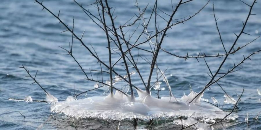 Mit einer «Vier-Teiche-Tour» oder der Märchenwaldwanderung empfiehlt sich das Lausitzer Seenland auch für Winterurlauber. Foto: Patrick Pleul/dpa-Zentralbild/dpa