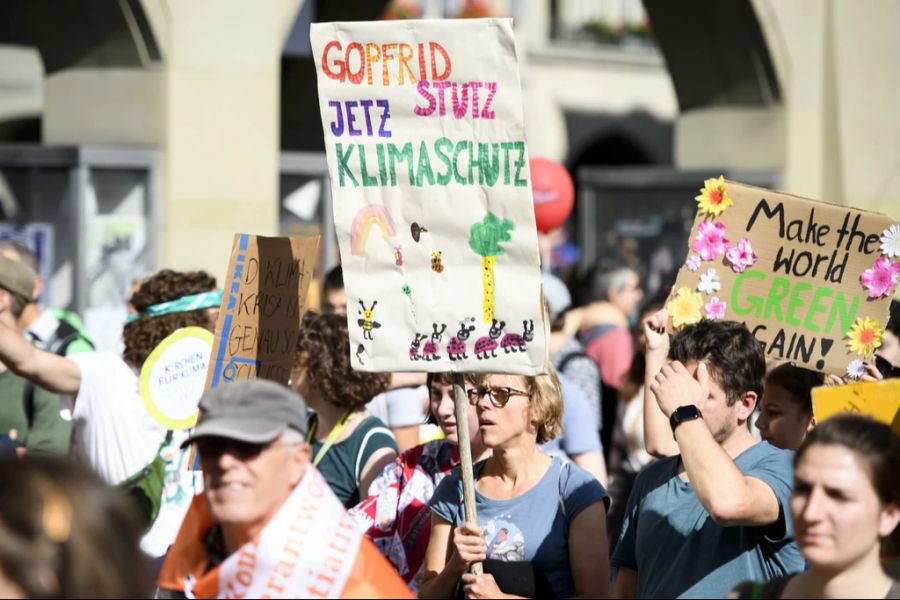 Teilnehmende einer Klima-Demo im Jahr 2019.