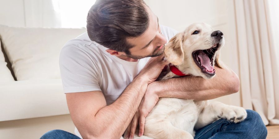 mann schmust mit hund