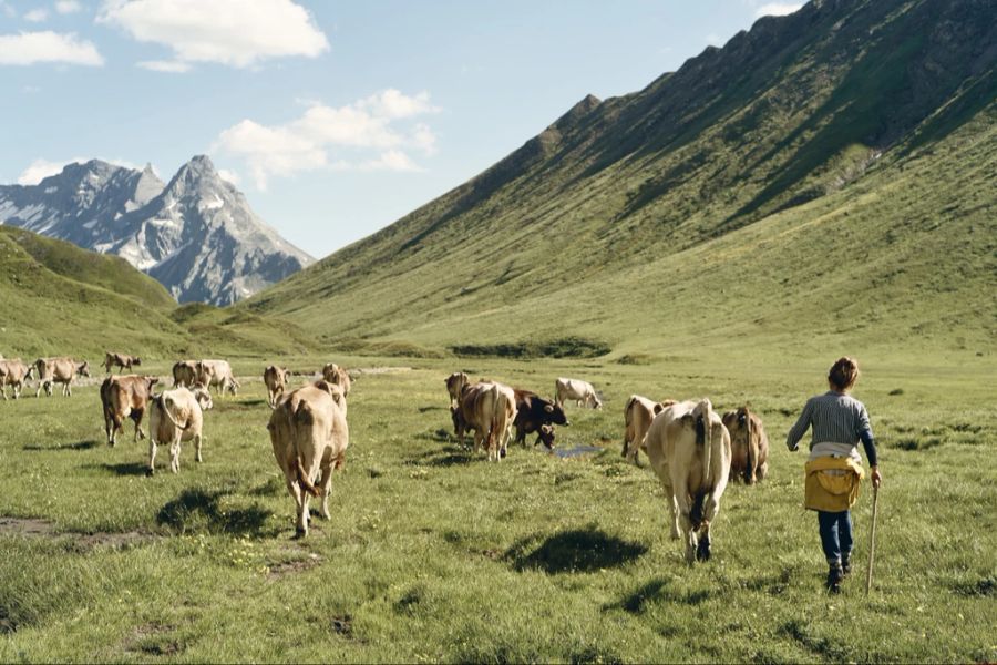 Das Bundesamt für Landwirtschaft in der Schweiz sieht keinen Anlass zur Sorge. (Symbolbild)