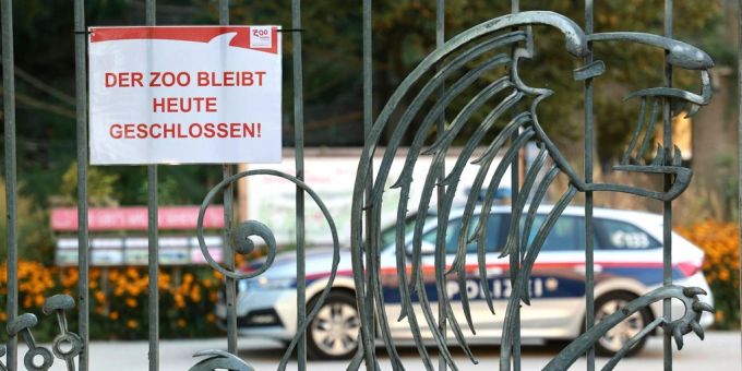 Nashorn-Angriff - Zoo Salzburg hat noch keine Erklärung