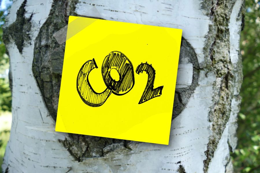 CO2-Fussabdruck