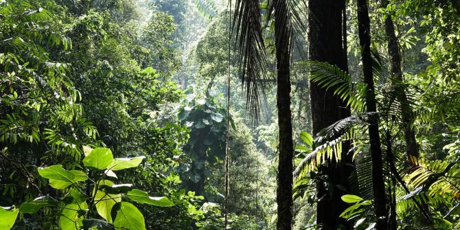 invasive Arten Biodiversität Gesundheit