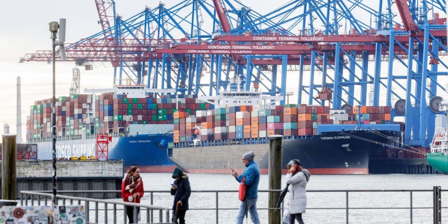 Containerschiffe liegen im Hamburger Hafen am Terminal Tollerort.