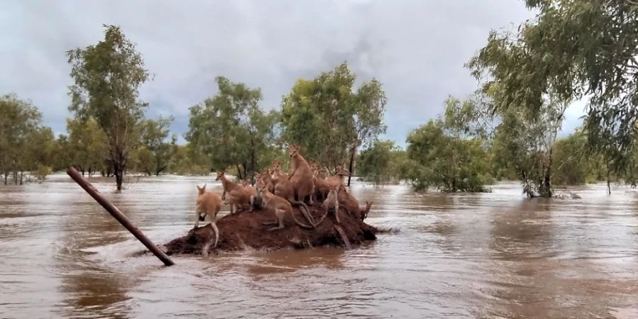 kimperly hochwasser