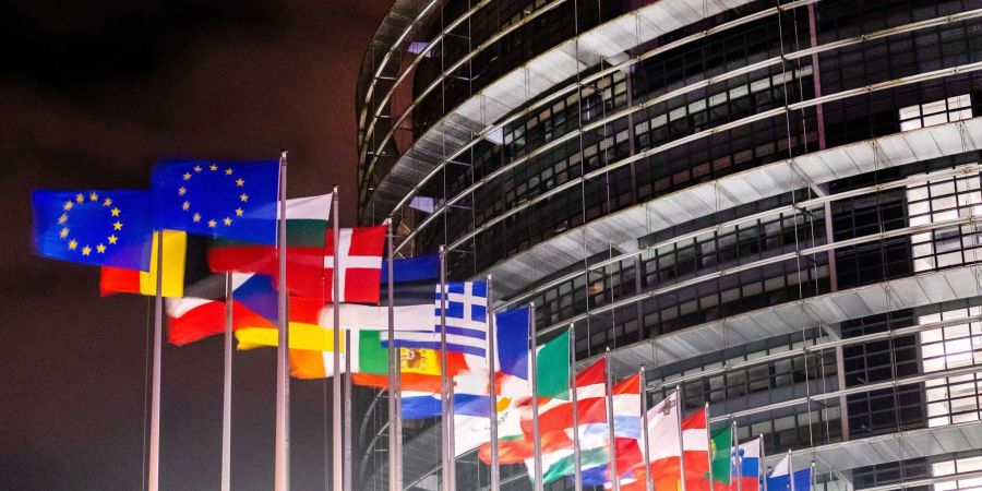 Die Flaggen der europäischen Mitgliedsstaaten wehen vor dem Europäischen Parlament in Strasburg.