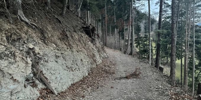 Waldweg auf welchem der Verletzte gefunden wurde. Chur GR Unfall