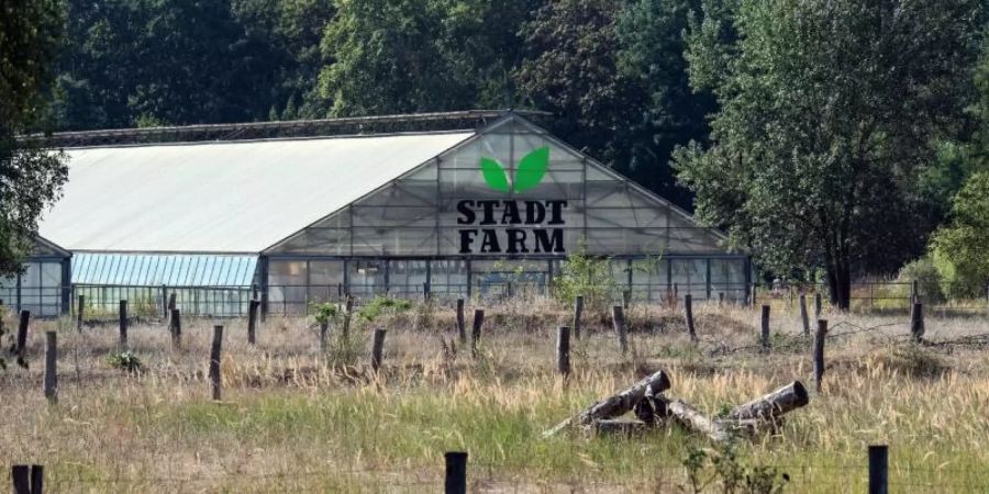 Ein Gewächshaus mit der Aufschrift «Stadtfarm» steht hinter einer Schafweide im Landschaftspark Herzberge. Foto: Soeren Stache/zb/dpa