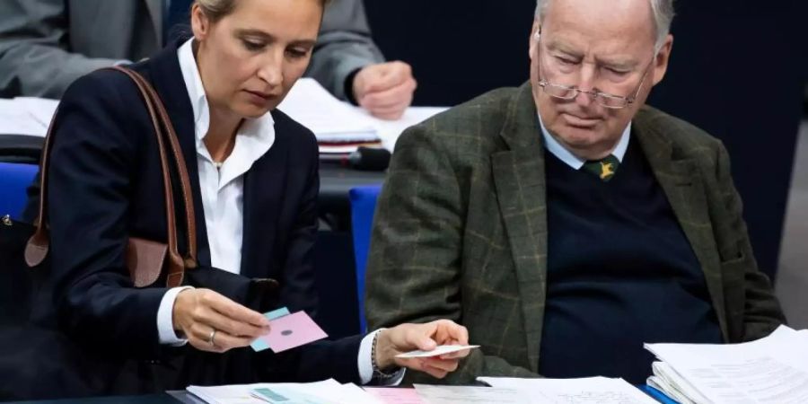 Beide «Wessis»: die AfD-Fraktionsvorsitzenden Alice Weidel und Alexander Gauland. Froto: Bernd von Jutrczenka Foto: Bernd von Jutrczenka