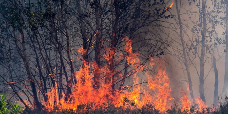Flächenbrand