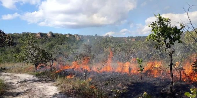 Waldbrand Brasilien