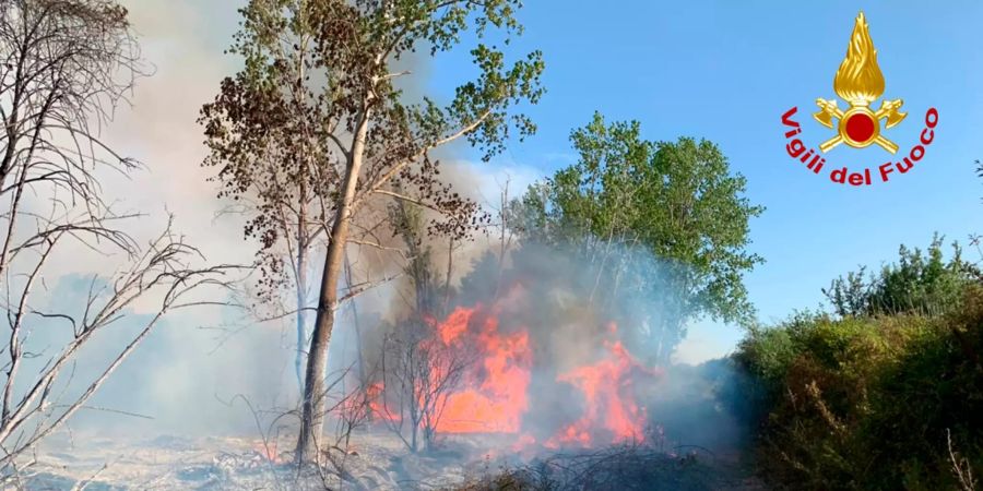 Waldbrand Sardinien