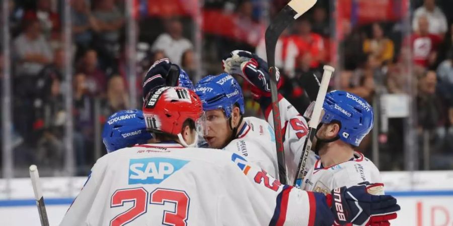 Die Spieler von Adler Mannheim feiern einen Treffer beim Spiel gegen die Ice Tigers. Foto: Daniel Karmann