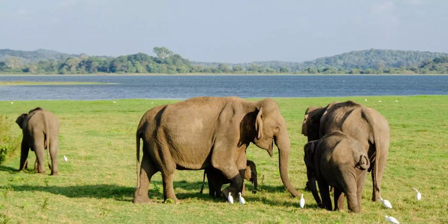 Sri Lanka