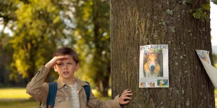 Flo (Nico Marischka) wurde unfreiwillig von «Lassie» getrennt. Foto: Warner Bros. GmbH/dpa