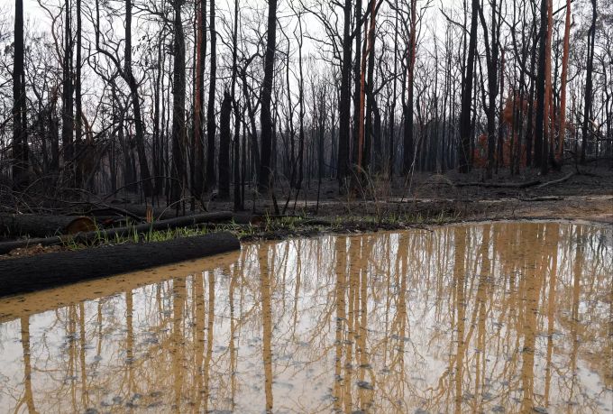 Eine grosse Regenpfütze hat sich im abgebrannten Buschland in den Blue Mountains westlich von Sydney im Bundesstaat Bundesstaat New South Wales gebildet. Buschbrände Australien