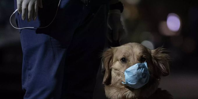 Ein Mann und sein Hund tragen während eines Spaziergangs aufgrund des neuartigen Coronavirus eine Maske. libanon