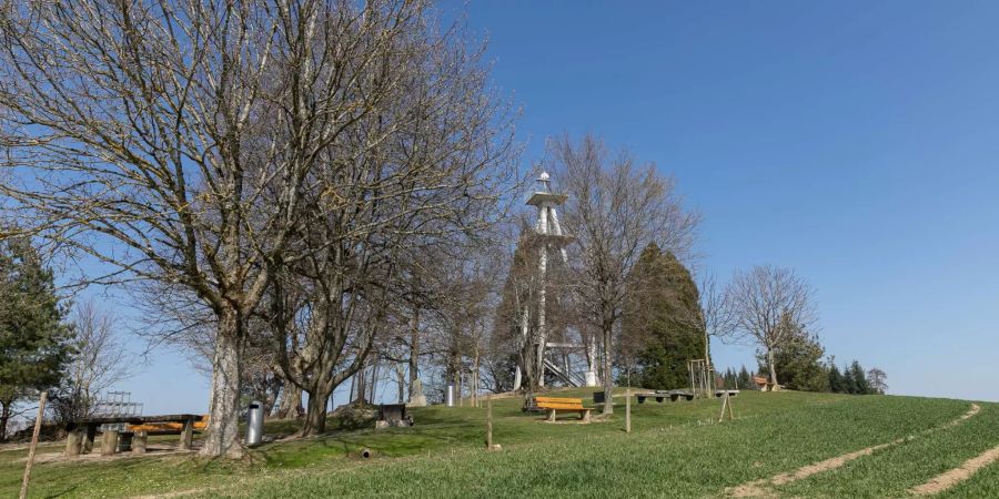 Der Hombergturm in Reinach (AG).