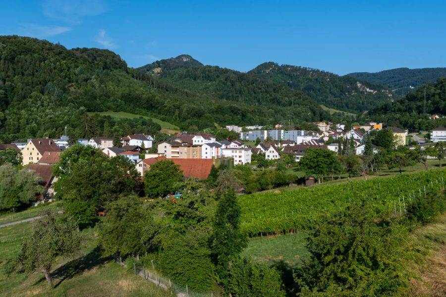 Trimbach Gemeinde Niederamt