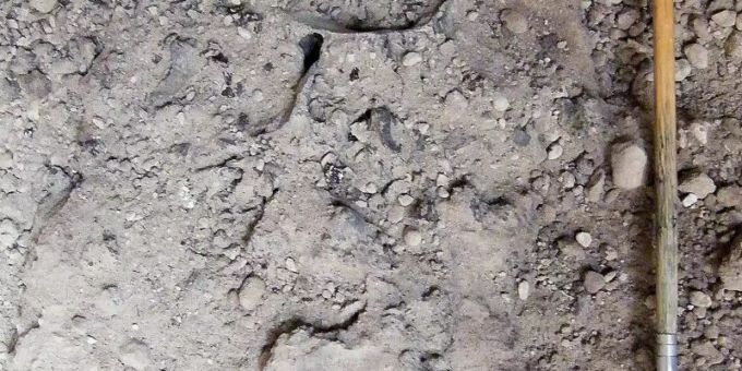 Forscher haben unweit des Vesuv dunkle, glasartige Fragmente eines Gehirns ausgegraben. Foto: Pier Paolo Petrone/-/dpa Vesuv