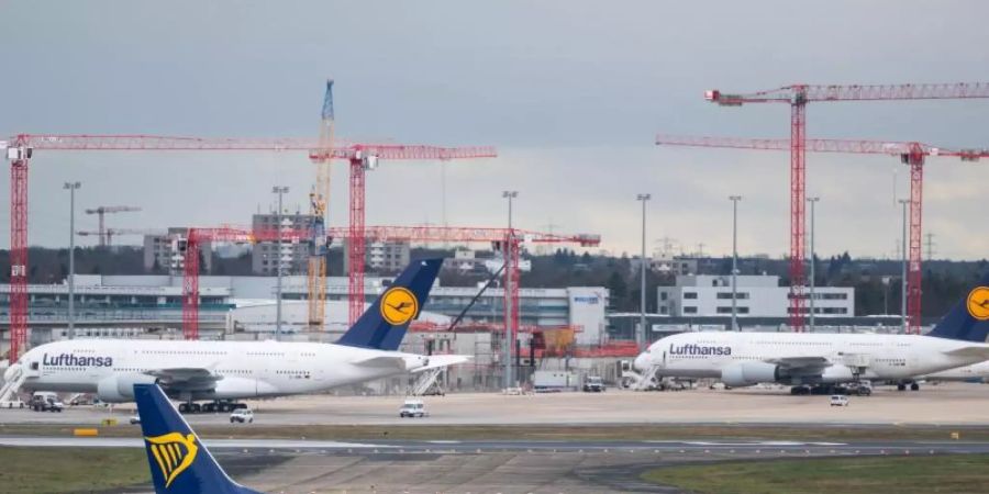 Eine Maschine des Billigfliegers Ryanair am Frankfurter Flughafen. Foto: Andreas Arnold/dpa