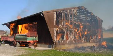 Brand