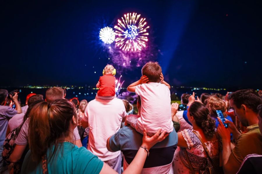 Feuerwerk Feuerwerksverbot Feuerwerksinitiative