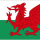 Wales U21 Logo