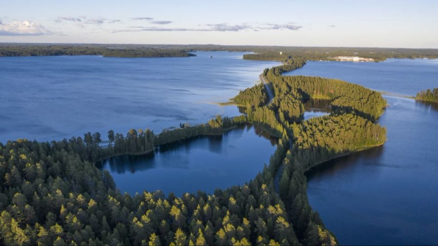 Die Saimaa-Robbe ist am Saimaa-See in Ost-Finnland zu Hause. Das Bild wurde im Juli 2020 aufgenommen.