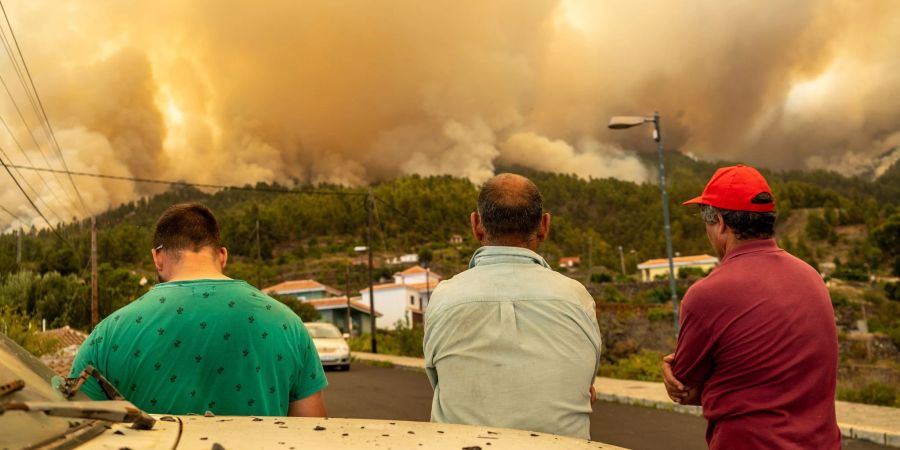 Drei Männer beobachten den Waldbrand auf der Kanareninsel.