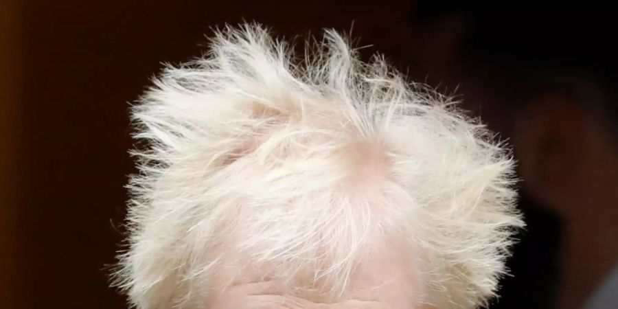 Der britische Premier Johnson