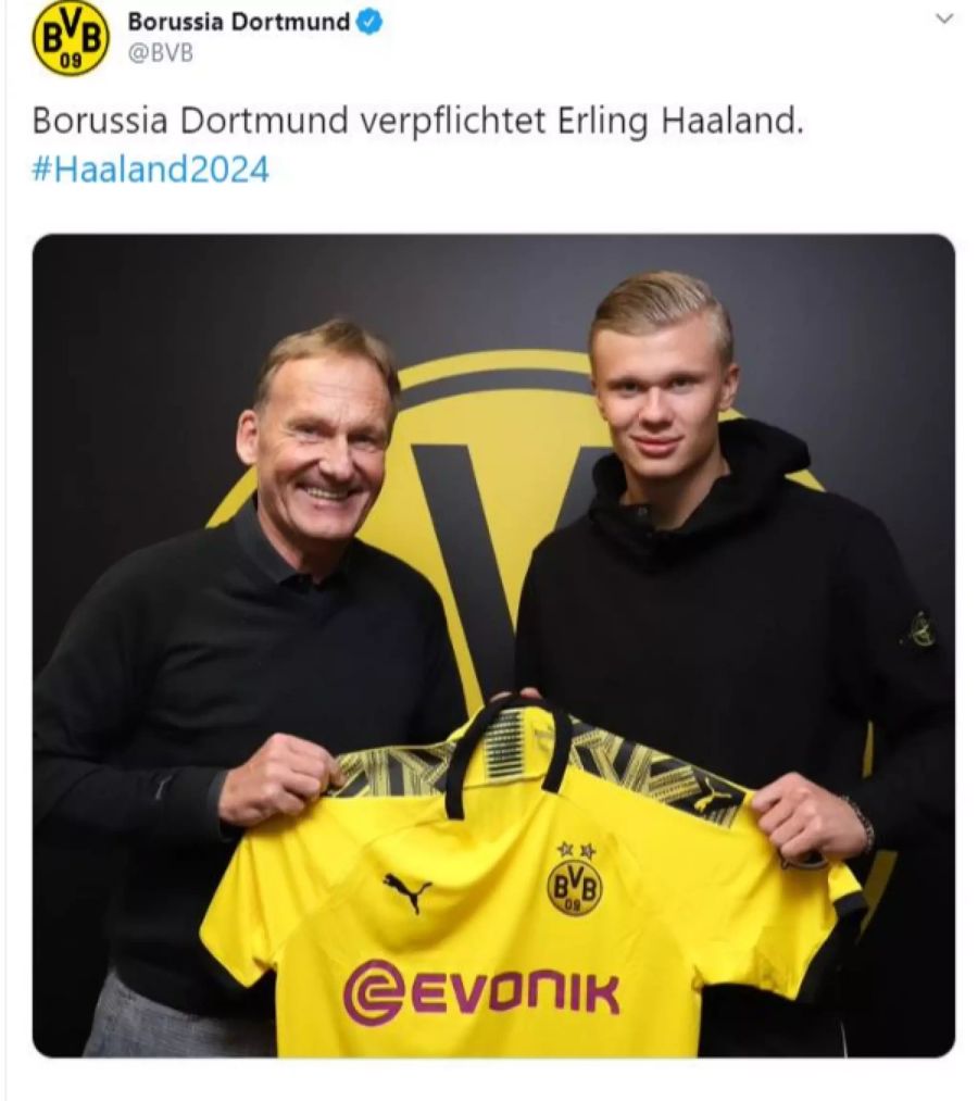 BVB