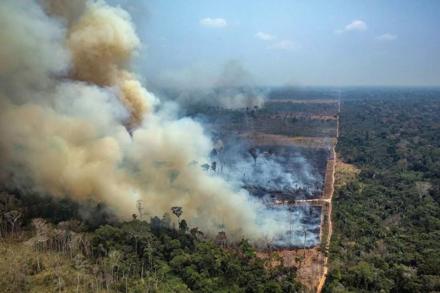 Alleine im August wurden im Amazonasgebiet aufgrund der Brände 471'000 Hektaren Land zerstört.