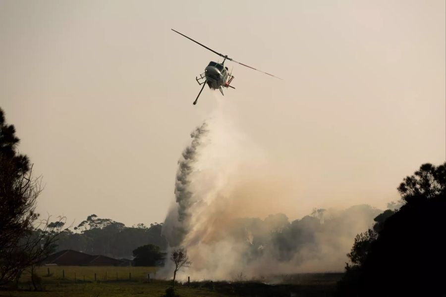 Buschfeuer in Australien