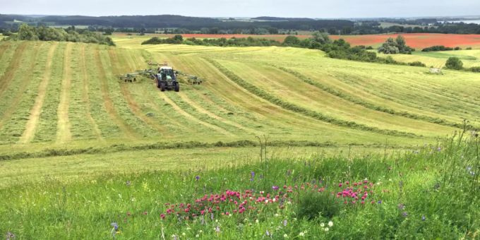 Der Kanton Graubünden startet im 2021 ein Pilotprojekt für klimafreundlichere Landwirtschaft. landwirtschaft