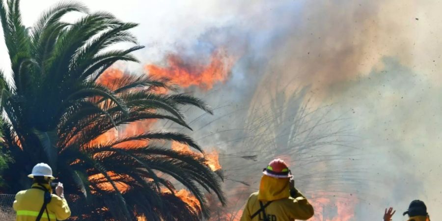 Brand in der Nähe der Ronald-Reagan-Bibliothek