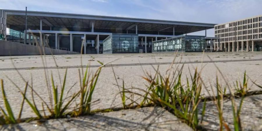 Gras wächst zwischen den Fugen auf einem Platz vor dem Terminal des Hauptstadtflughafens BER. Foto: Patrick Pleul