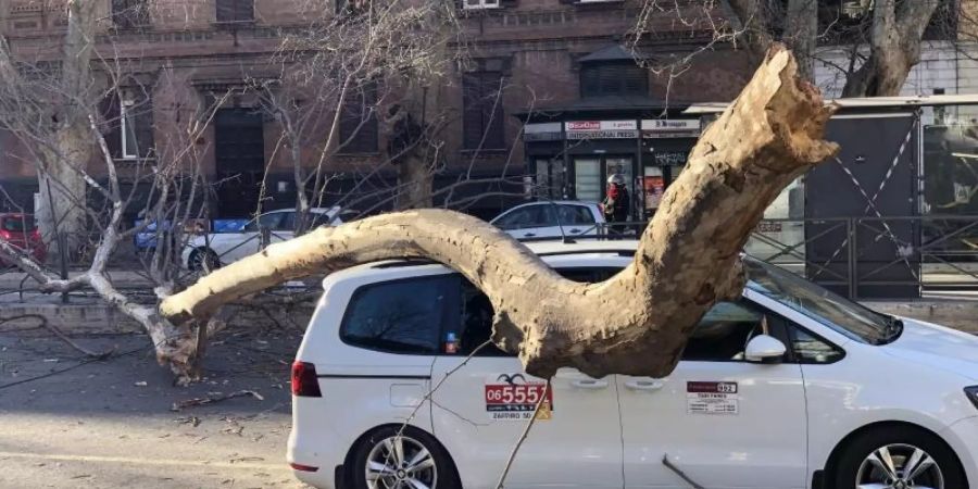 Bei starkem Wind ist der Ast eines Baumes in der Strasse Viale di Trastevere in Rom auf ein Auto gefallen. Foto: Benno Schwinghammer