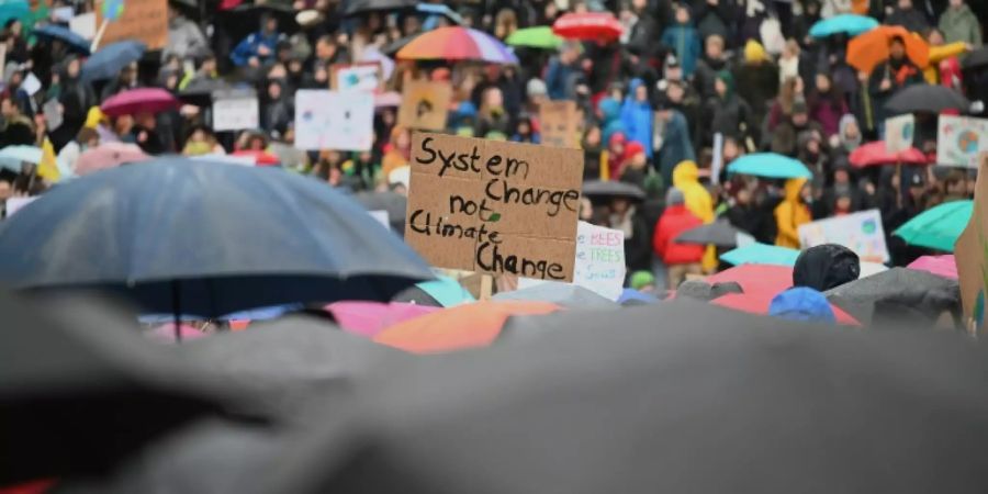 Demonstranten in Köln