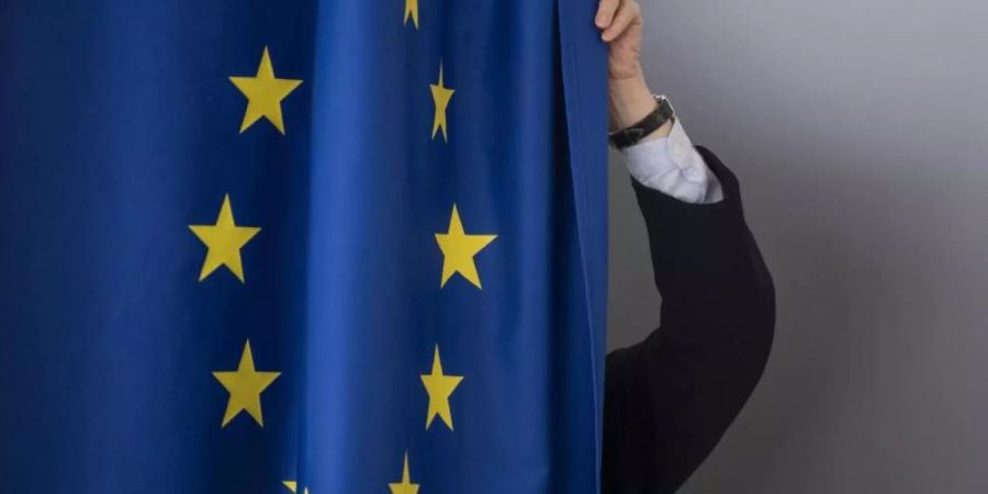 Das EU-Parlament wird zwischen dem 23. und 26. Mai neu gewählt, in Deutschland am 26. Mai. Foto: Boris Roessler