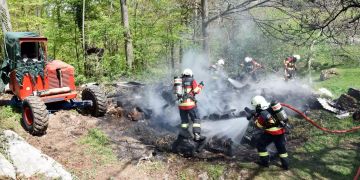 Brand einer Holzbeige am Waldrand