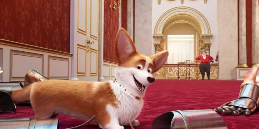 In dem Film «Royal Corgi - Der Liebling der Queen» dürfen die cleveren Treib-, Wach- und Hütehunde mit kleinen Beinen im Buckingham Palace frei herumlaufen. Foto: -/Wild Bunch Germany