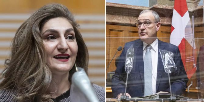 Arslan Grüne Parmelin